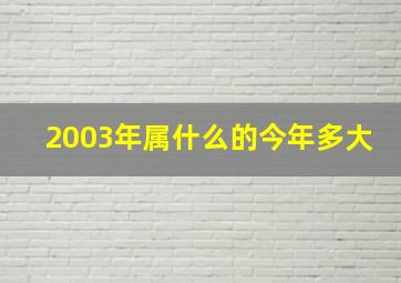 2003年属什么的今年多大