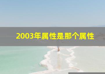 2003年属性是那个属性