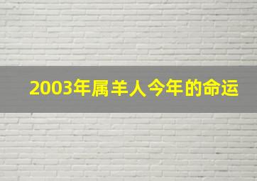 2003年属羊人今年的命运