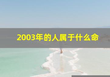 2003年的人属于什么命