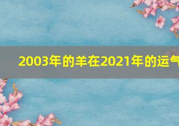 2003年的羊在2021年的运气