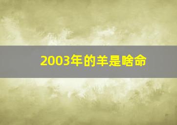 2003年的羊是啥命