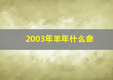 2003年羊年什么命