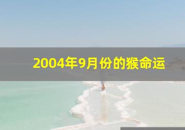 2004年9月份的猴命运