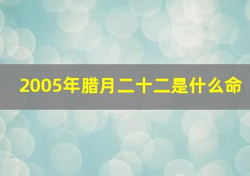 2005年腊月二十二是什么命