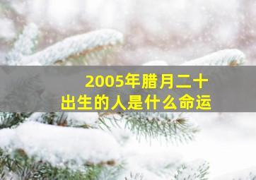 2005年腊月二十出生的人是什么命运