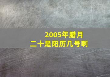 2005年腊月二十是阳历几号啊