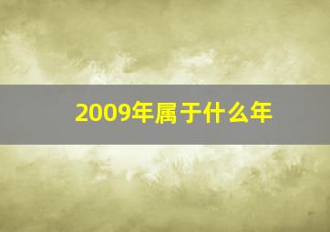 2009年属于什么年