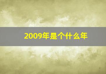 2009年是个什么年