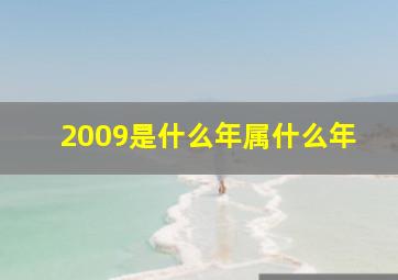 2009是什么年属什么年