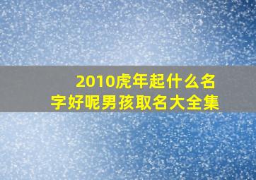 2010虎年起什么名字好呢男孩取名大全集