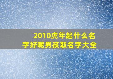 2010虎年起什么名字好呢男孩取名字大全