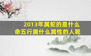 2013年属蛇的是什么命五行属什么属性的人呢