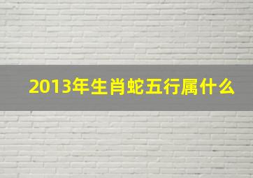 2013年生肖蛇五行属什么