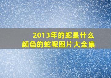 2013年的蛇是什么颜色的蛇呢图片大全集