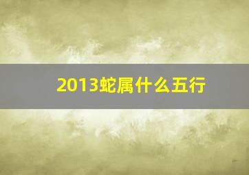 2013蛇属什么五行