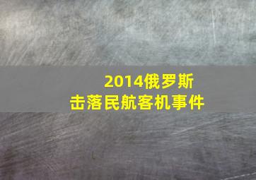 2014俄罗斯击落民航客机事件