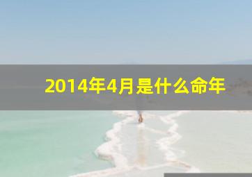 2014年4月是什么命年