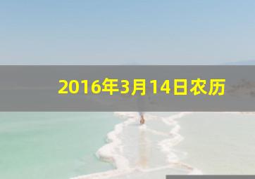 2016年3月14日农历