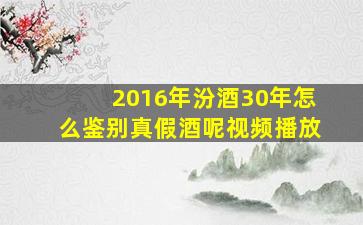 2016年汾酒30年怎么鉴别真假酒呢视频播放