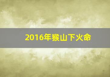 2016年猴山下火命