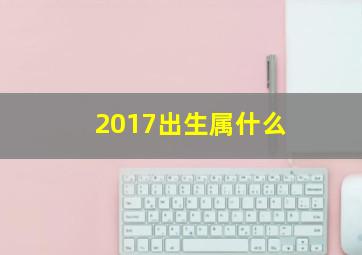 2017出生属什么