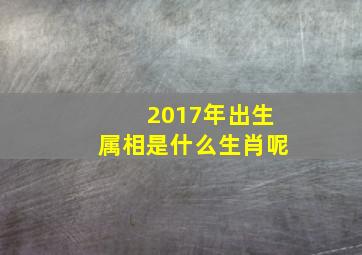 2017年出生属相是什么生肖呢