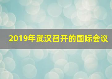 2019年武汉召开的国际会议