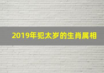 2019年犯太岁的生肖属相