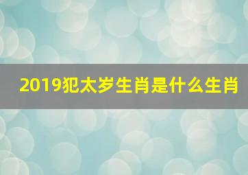 2019犯太岁生肖是什么生肖