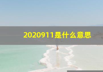 2020911是什么意思