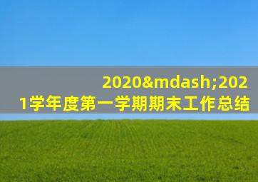 2020—2021学年度第一学期期末工作总结