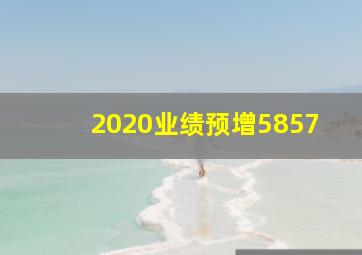 2020业绩预增5857