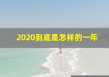 2020到底是怎样的一年