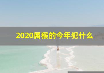 2020属猴的今年犯什么