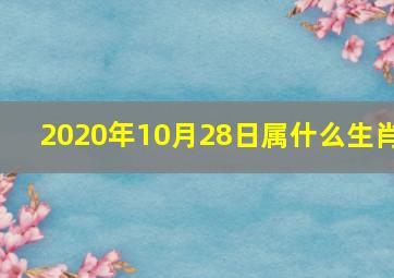 2020年10月28日属什么生肖