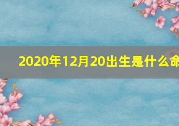 2020年12月20出生是什么命