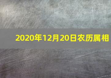 2020年12月20日农历属相