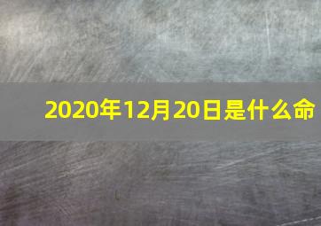 2020年12月20日是什么命