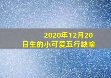 2020年12月20日生的小可爱五行缺啥