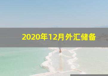 2020年12月外汇储备