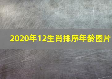 2020年12生肖排序年龄图片