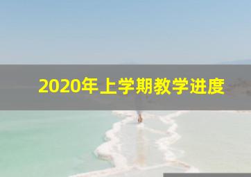 2020年上学期教学进度