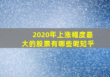 2020年上涨幅度最大的股票有哪些呢知乎