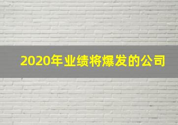 2020年业绩将爆发的公司