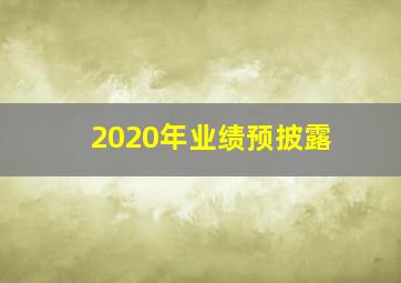 2020年业绩预披露