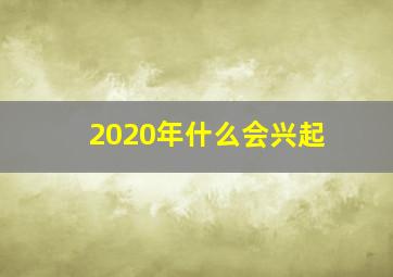 2020年什么会兴起