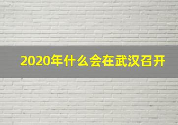 2020年什么会在武汉召开