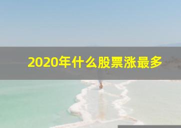 2020年什么股票涨最多