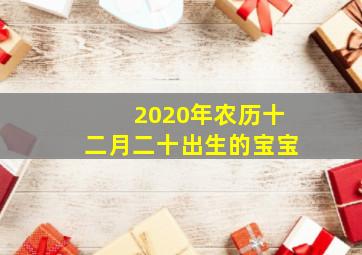 2020年农历十二月二十出生的宝宝